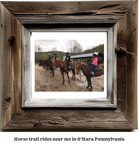 horse trail rides near me in O'Hara, Pennsylvania